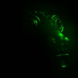 Viaticum (USA-2) : Reliquary of the Horned One